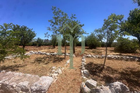 Ruinere i Carovigno, Brindisi, Carovigno - € 97.000 | Ref: Trullo Iovite - foto 16